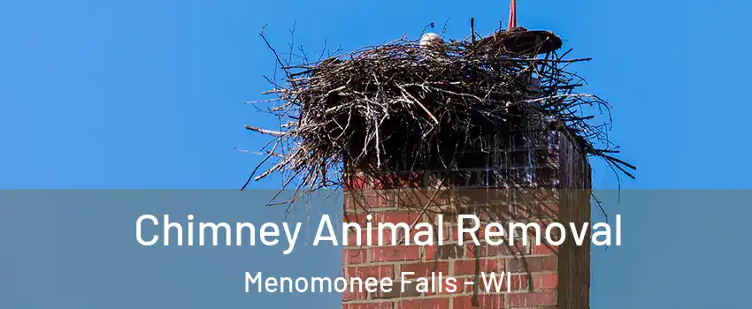 Chimney Animal Removal Menomonee Falls - WI