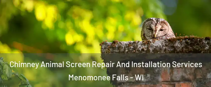  Chimney Animal Screen Repair And Installation Services Menomonee Falls - WI