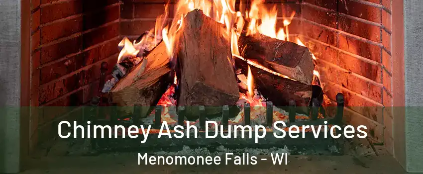  Chimney Ash Dump Services Menomonee Falls - WI