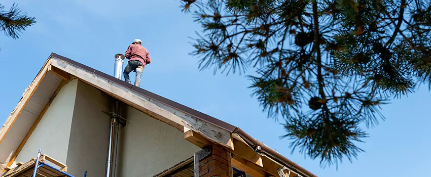 Birds Removal Contractors from Chimney in Menomonee Falls, WI