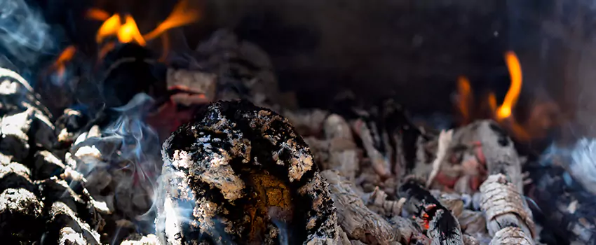 Creosote Removal Experts in Menomonee Falls, WI