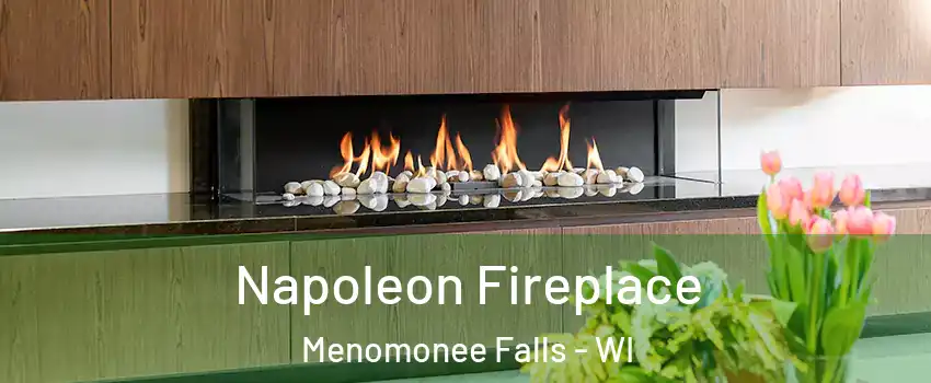  Napoleon Fireplace Menomonee Falls - WI